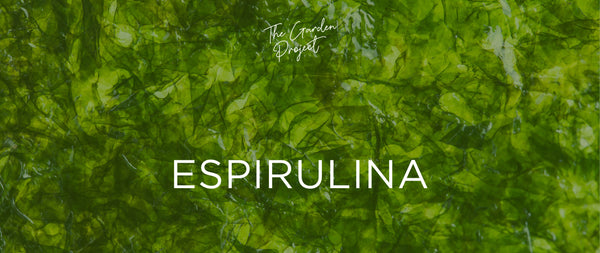 Espirulina, el ingrediente clave para la salud tu piel
