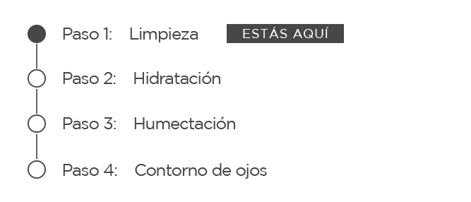 Te encuentras en este paso: