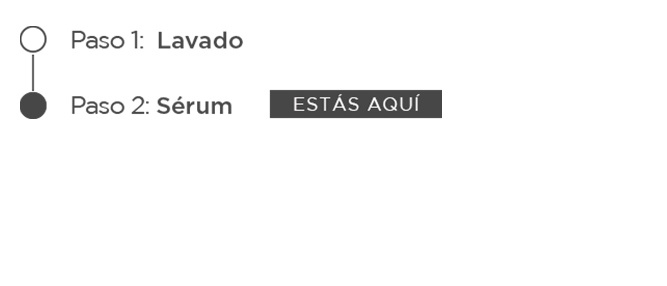 Te encuentras en este paso: