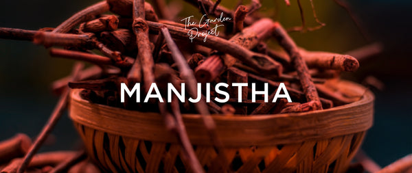 Manjistha, una planta medicinal con grandes efectos antimanchas y antiacné