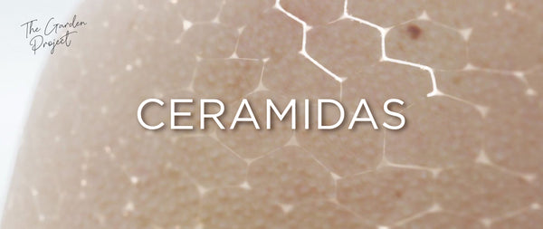 Ceramidas, el "cemento" de nuestra piel