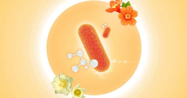 Tendencia: Dos de los activos más innovadores en biotecnológia cosmética